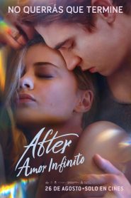 After 4: Amor Infinito / After Ever Happy